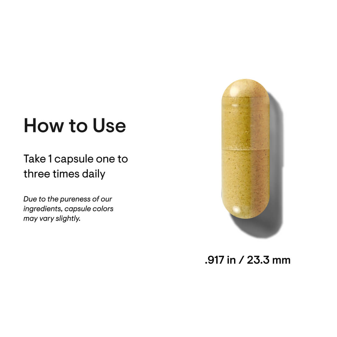 Basic B Complex – Foundational B Vitamin Support