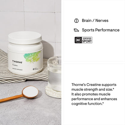 Creatine – Muscle, Brain &amp; Performance Support