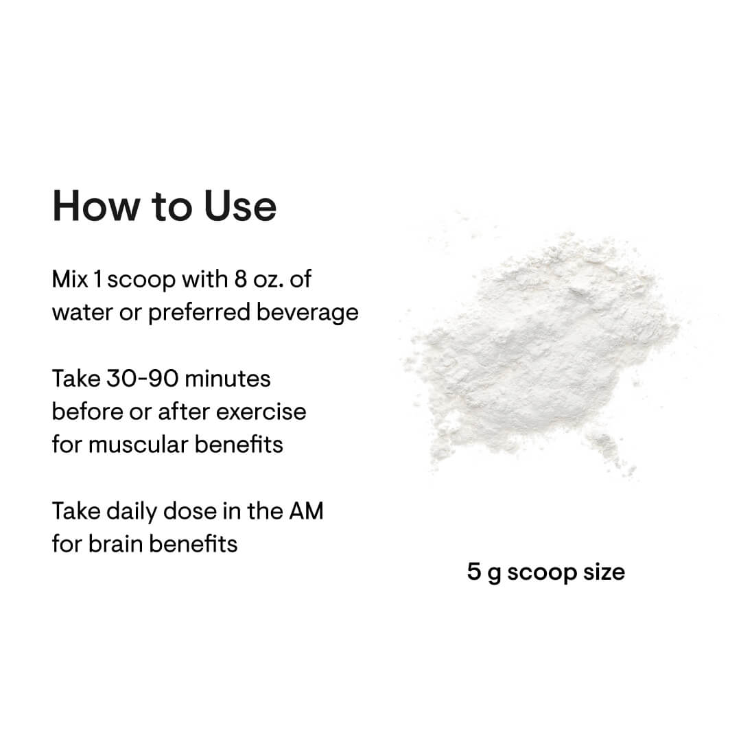 Creatine – Muscle, Brain &amp; Performance Support