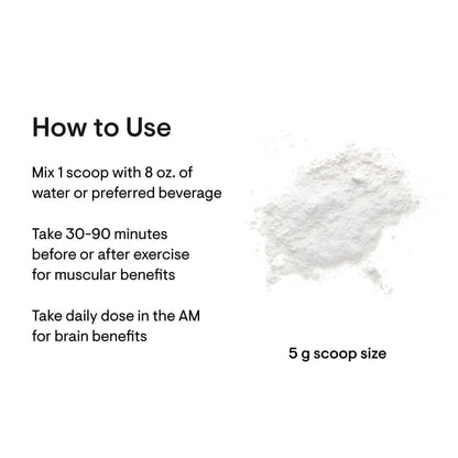 Creatine – Muscle, Brain &amp; Performance Support